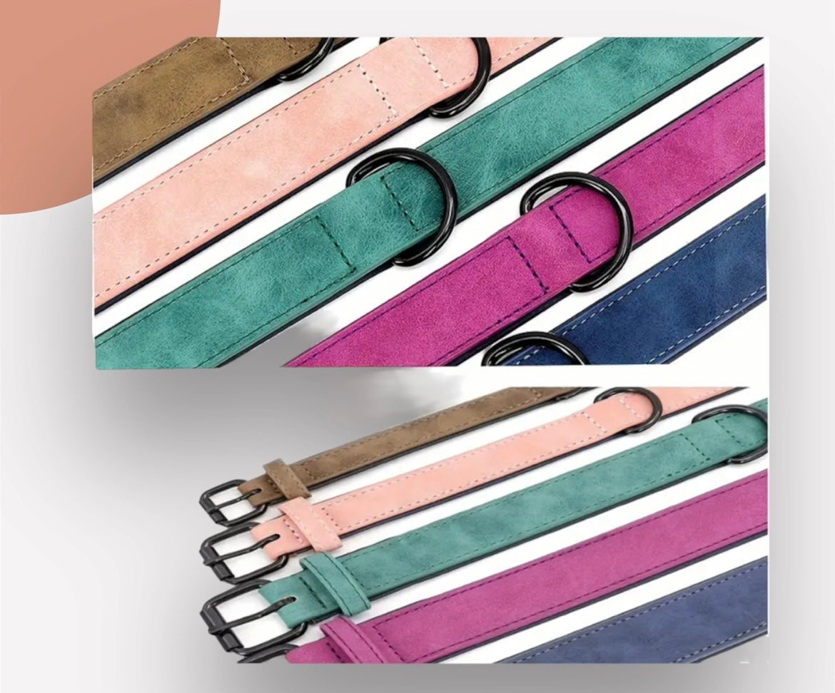 🐾 Dein Hund, dein Stil – Personalisiertes Halsband mit Namen & Nummer 🐾