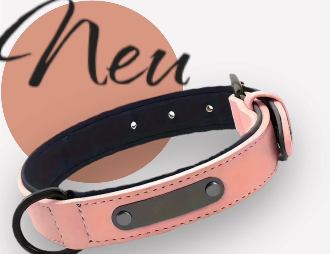 🐾 Dein Hund, dein Stil – Personalisiertes Halsband mit Namen & Nummer 🐾