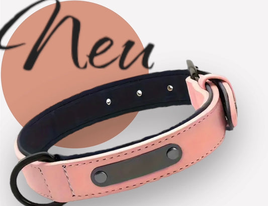 🐾 Dein Hund, dein Stil – Personalisiertes Halsband mit Namen & Nummer 🐾