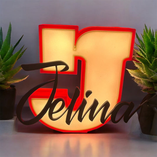 ⭐ 3D-gedruckte Lichtbox mit Wunschbuchstaben & Namen ⭐